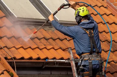 Démoussage et hydrofuge de toiture à Goupil-Othon